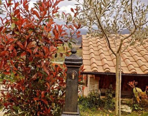 Il Podere Di Massi Barberino di Mugello Eksteriør bilde