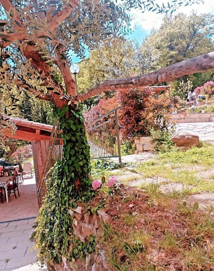 Il Podere Di Massi Barberino di Mugello Eksteriør bilde