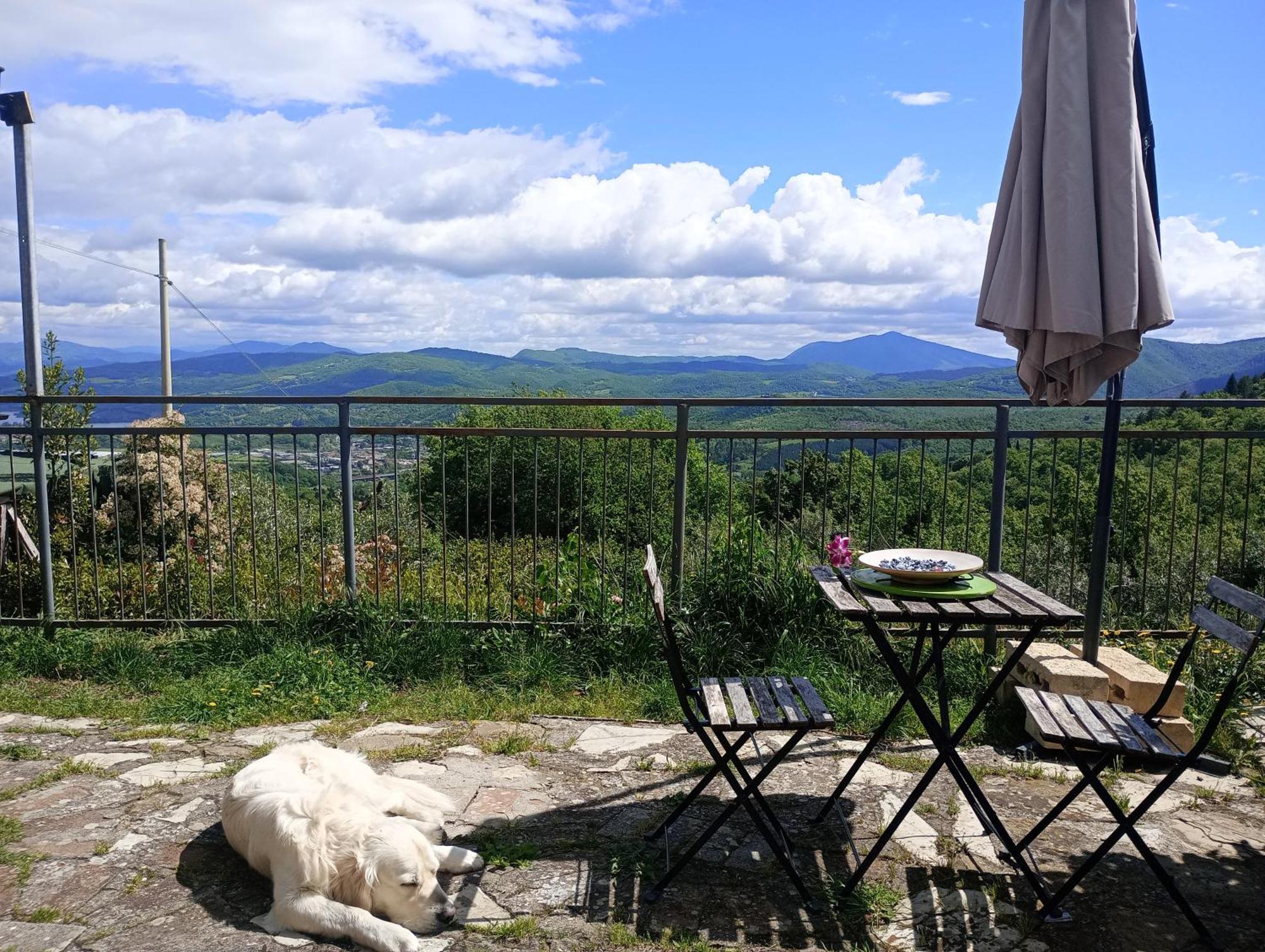Il Podere Di Massi Barberino di Mugello Rom bilde