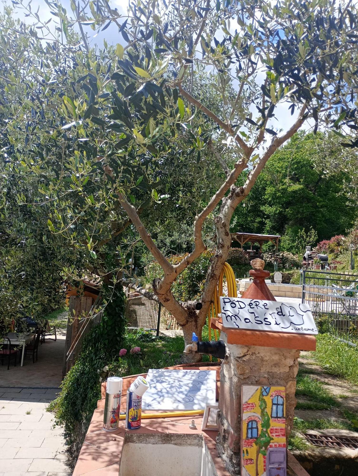 Il Podere Di Massi Barberino di Mugello Eksteriør bilde