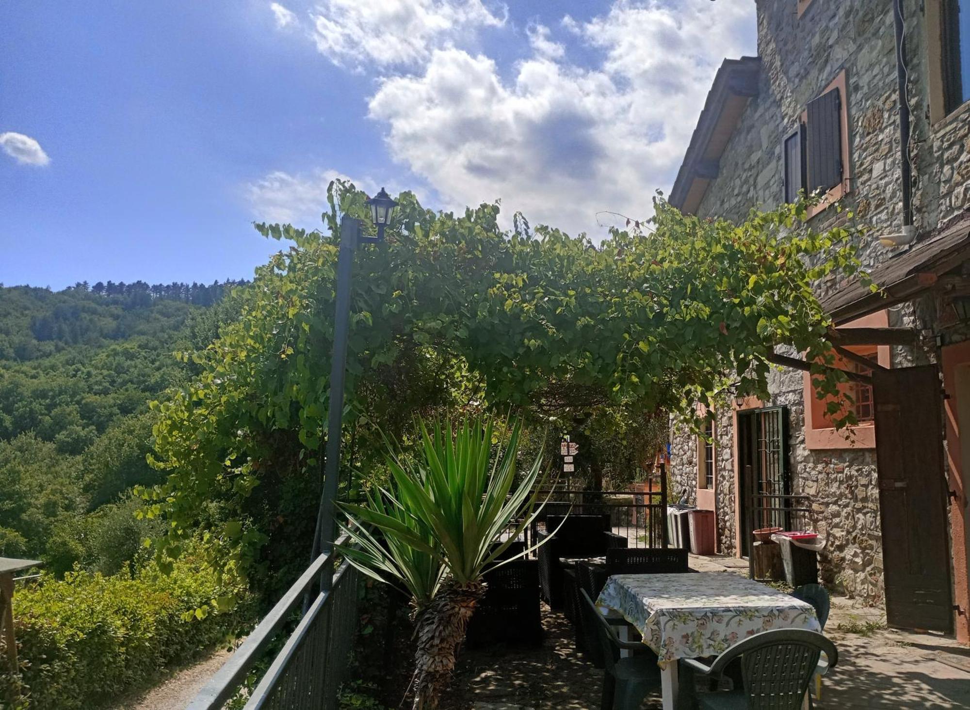 Il Podere Di Massi Barberino di Mugello Eksteriør bilde
